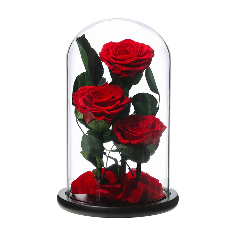 7-8 Cm 3 Rosas Para Siempre De La Eternidad Rosas Flores En La Cúpula De  Cristal De La Boda De Día De Las Madres,Regalo De Cumpleaños - Buy Flores,Siempre  La Eternidad Rosas,Flores