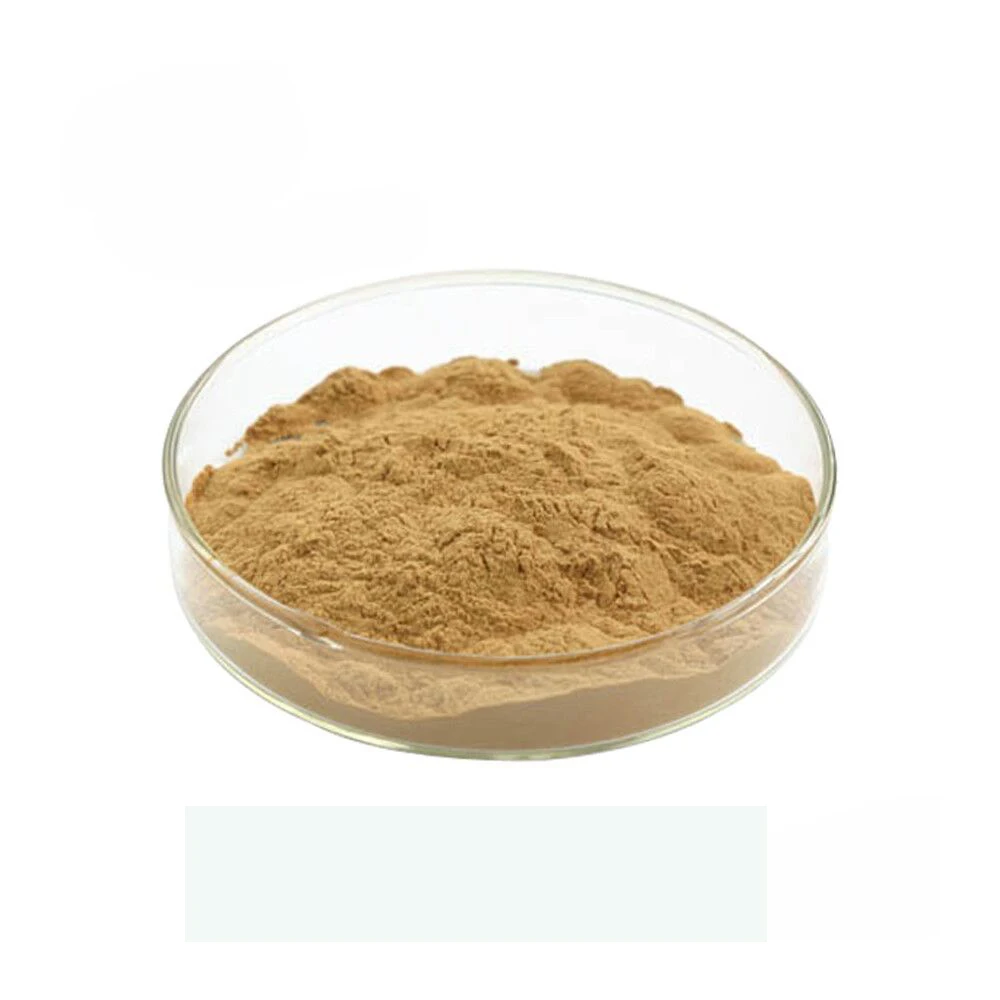 Plant Extract Sakae NAA Extract Powder Combretum Quadrangulare Extract