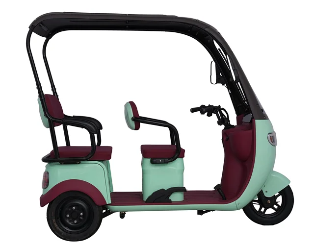 China Supplier Manned Electric Tricycles 800w Electric Tricycle For Disabled