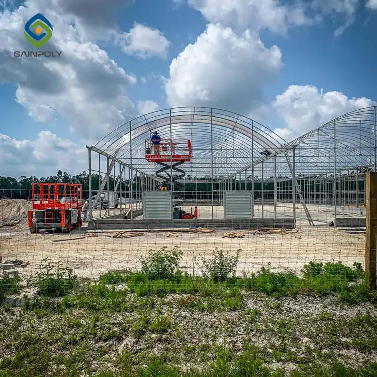 In Stock Large Greenhouse for Agricultural Tomato Hydroponics Turnkey Projects Made of Steel Poly with PC Sheet Cover for Sale