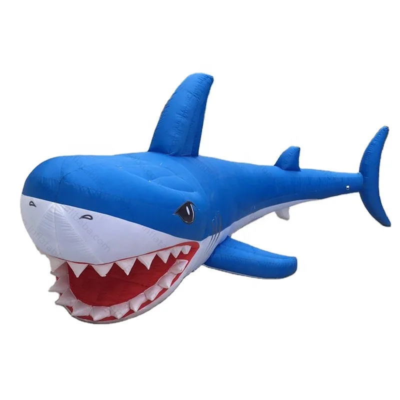 Shark Inflatable Ubicaciondepersonas Cdmx Gob Mx