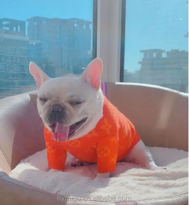 smoochie pooch dog clothes