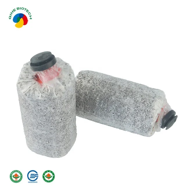 Qihe king биопакеты для выращивания устричных грибов, Фабричный магазин, зеленый дом