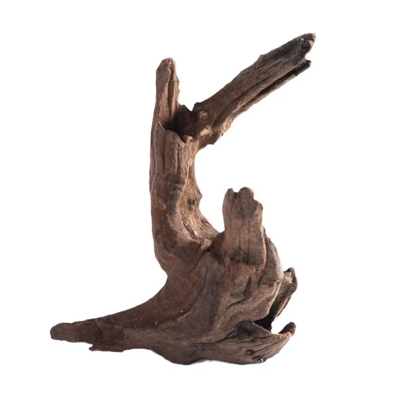 45 杉の流木 【公式通販】