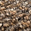 Leopardo
