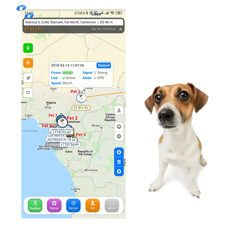 Gps Trackers Dog Chip Locator App Gbs Pets 4G Free Delivery