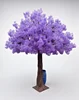 violet