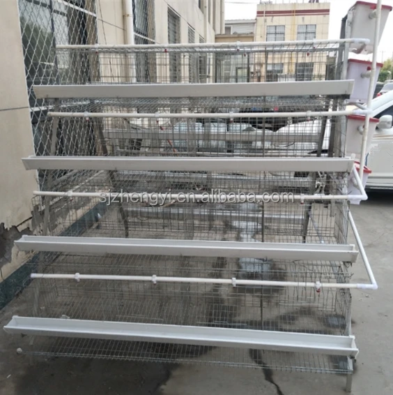 Galvanized Battery Chicken Cages Sold to Distributors in Mozambique