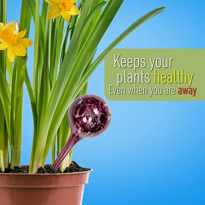 Automatic Self Watering Globes - Perfect for Home Gardening