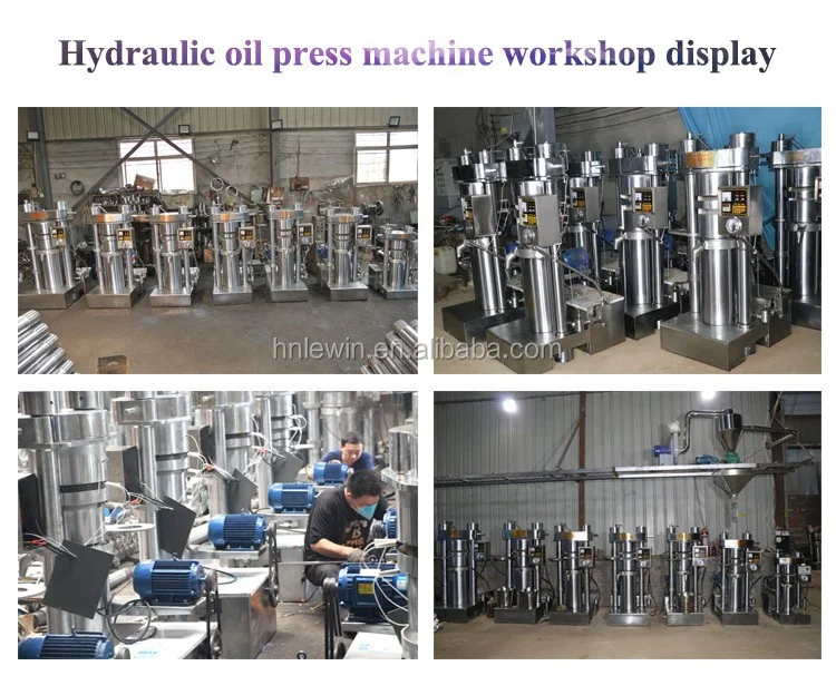 Automatic Cold Coconut Oil Press Machine Sunflower Oil Presser for Palm Soybean Almond Sesame Oils