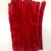 Big Red 20-piece pack