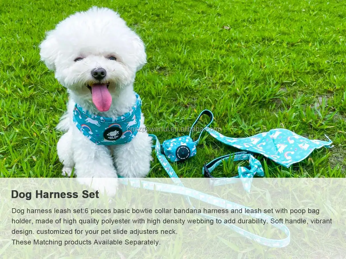 Customize High Quality Pet Supplies Mesh Dog Collar And Leash Set
