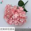 ช่อดอกไฮเดรนเยียสีชมพูเข้ม