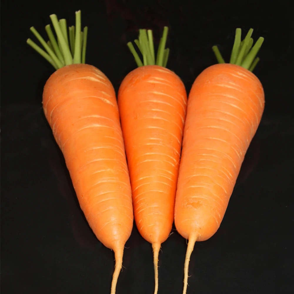 Top Grade Wholesale Supply Organic Planting Fresh Vegetables Wholesale Carrot Fresh Red Carrot 10kg Paper Carton Lowest Price