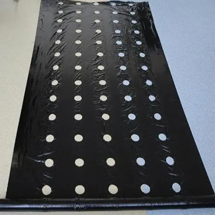 Weed Control Barrier UV Treated Biodegradable Plastic Mulch Layer Perforated Mulch Film Mulching Sheets