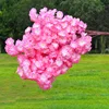 6# rosa