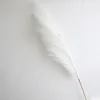 Creamy white