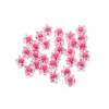 Rose rouge