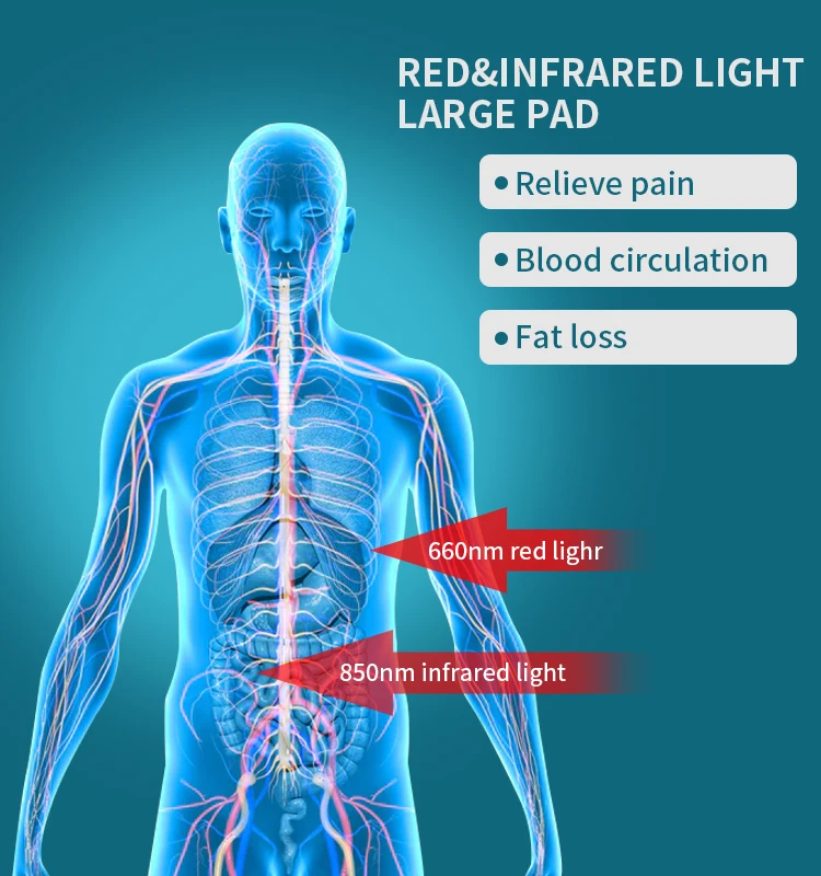 Full Body Red Light Therapy Infrared Sauna Blanket Therapy Mat Bed Red