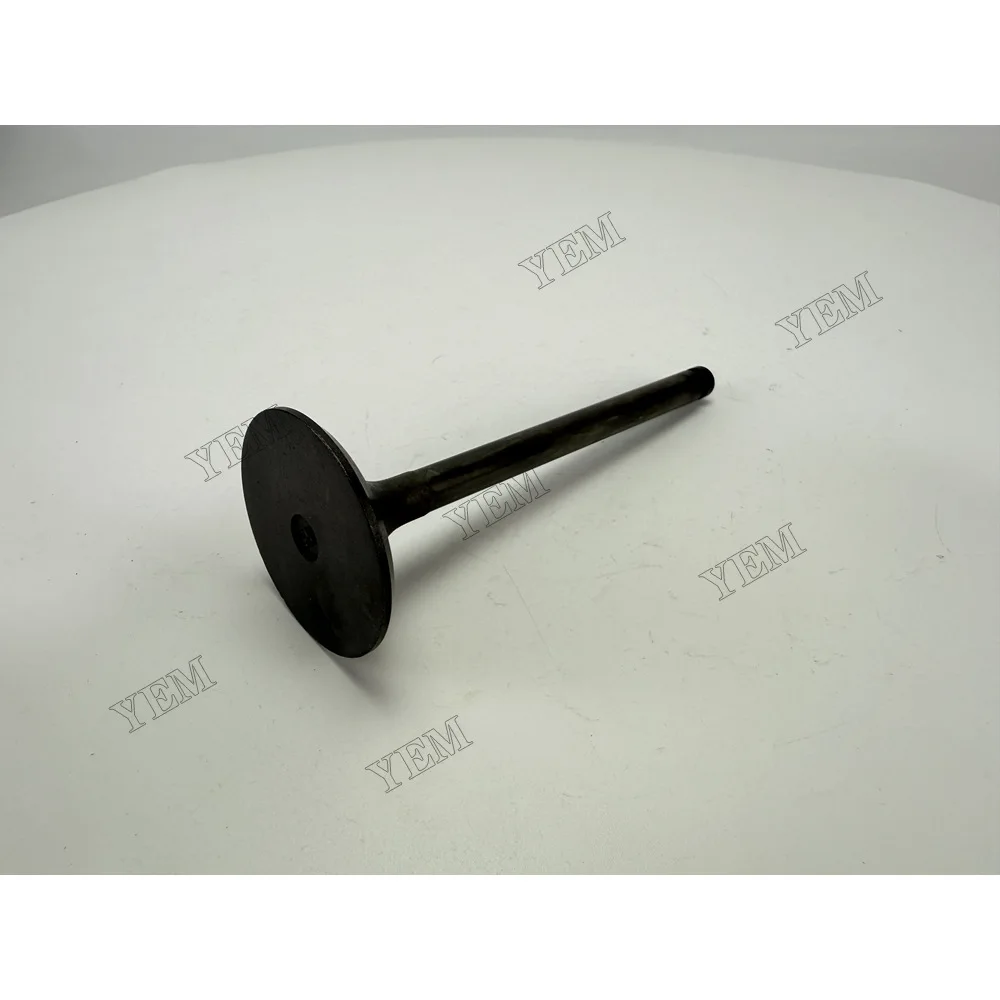 Intake Valve for Nissan NE6 Industrial Engine Parts 5