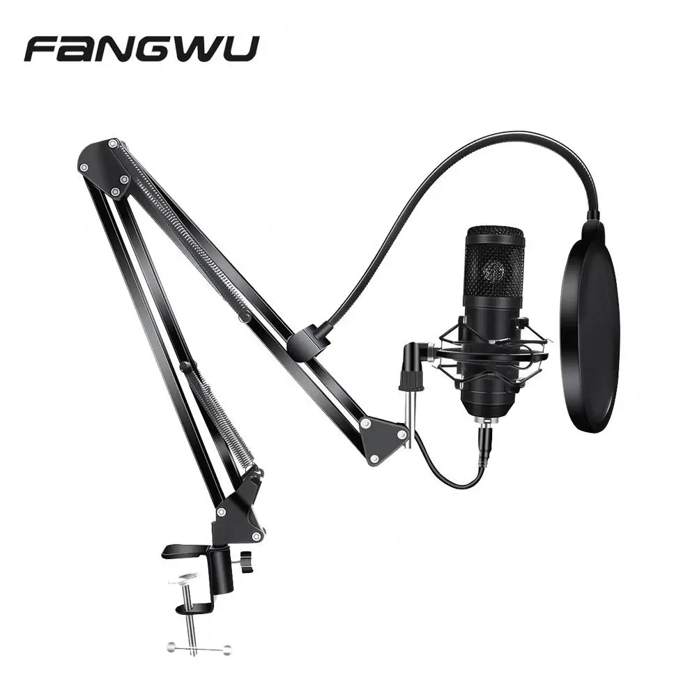 noise cancelling mic for vlogging