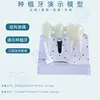 C dental implant transparent black nail
