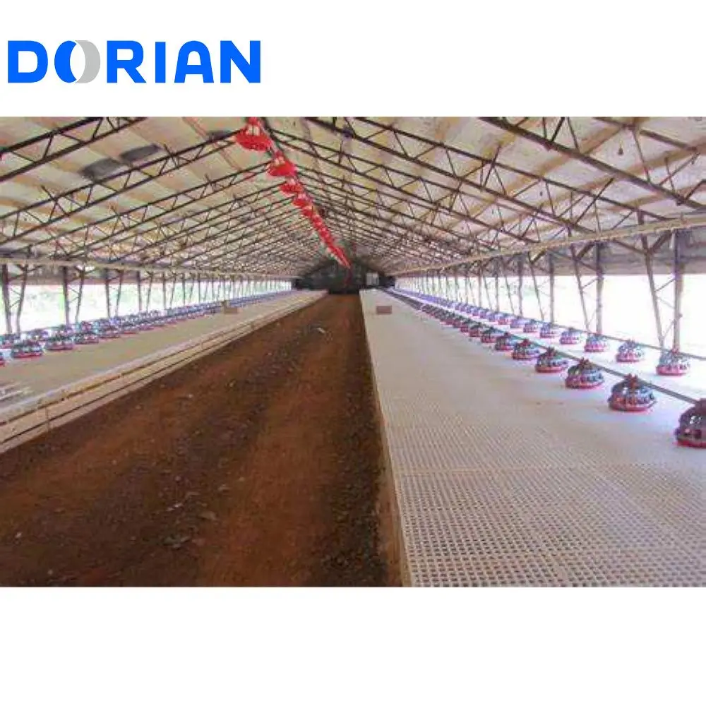 New Design Small Prefab Steel Structure Egg Chicken Poultry Farm Building for 5000 Chicken