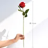 Rosa roja única