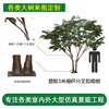 Árbol de banyan ramificado y esbelto de plástico de 3 metros de altura - enlace de depósito