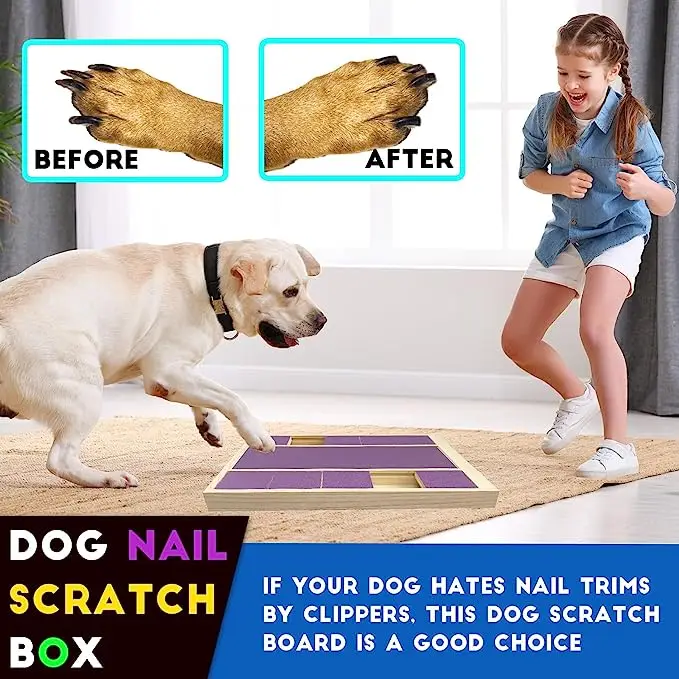 Petdom Monciysn Scratch Square For Dogs Nails File Treats Toy Stress