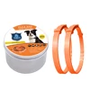 Orange Dog