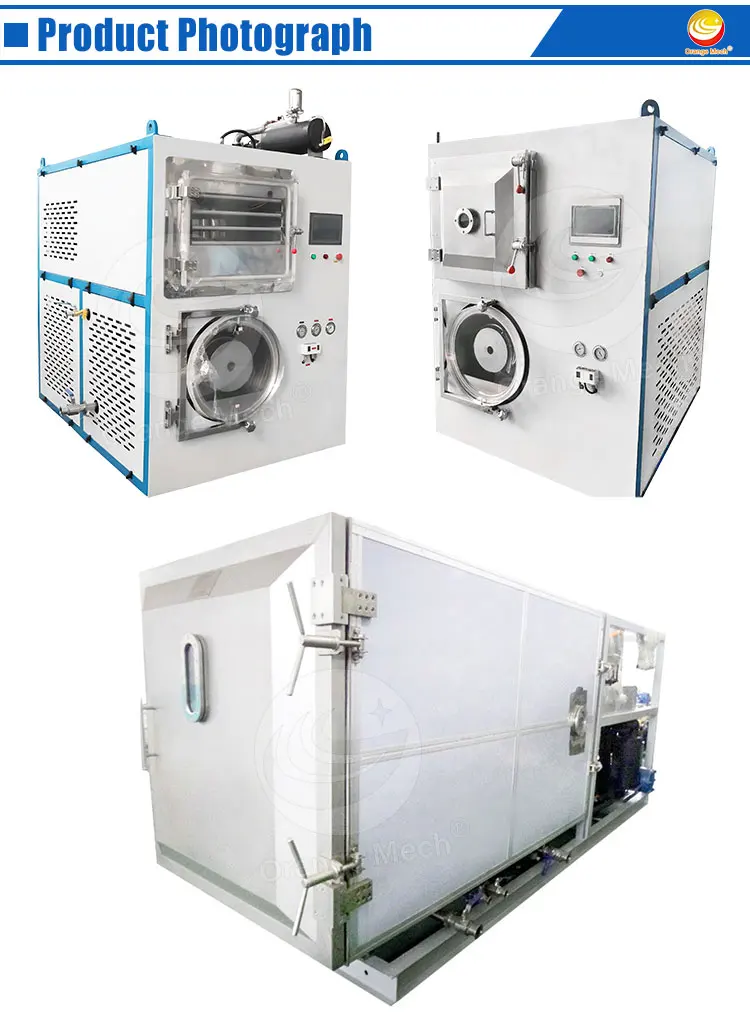 ORME Meat Freeze Drying Machine Laboratory Sublimation Vacuum Pump Dryer Small Food Freeze Dryer for Milk Powder