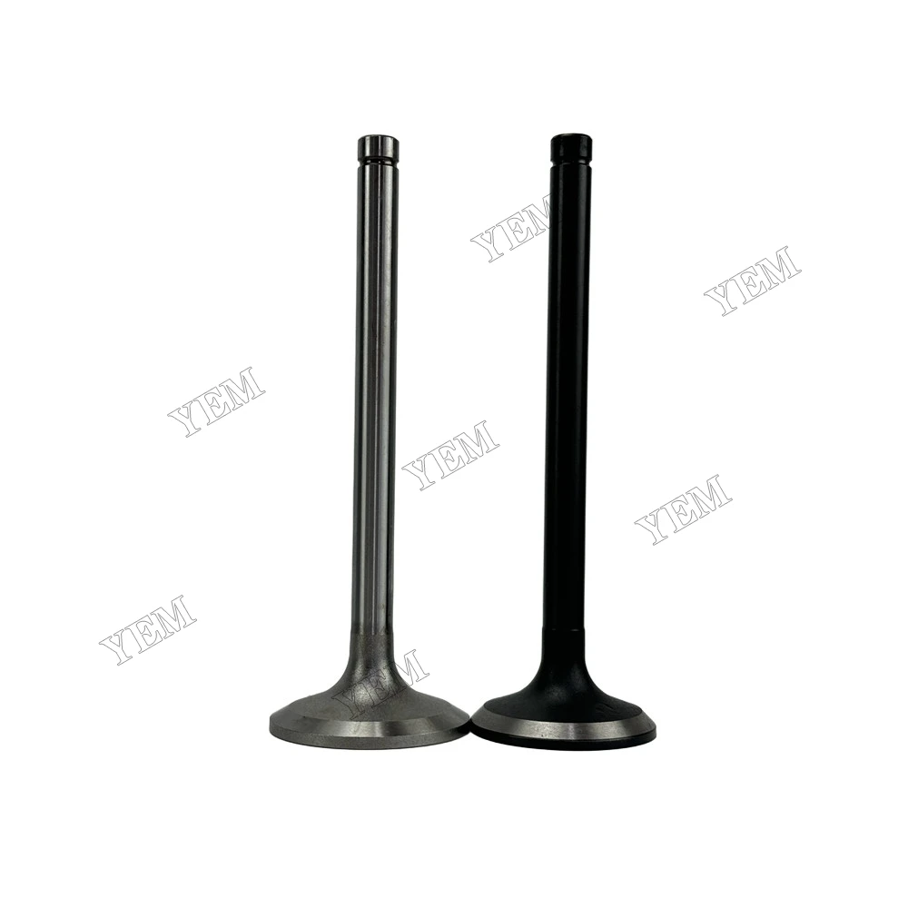 Intake and Exhaust Valve Fit for Hino EK100 Engine 4
