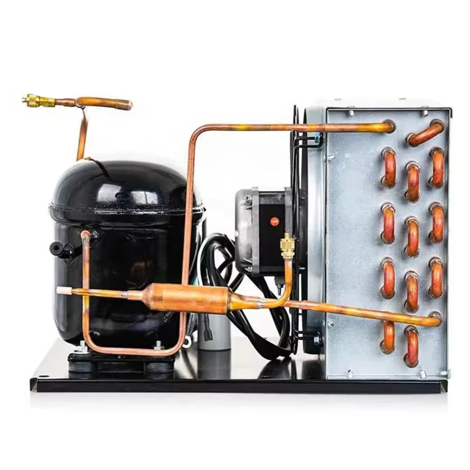 Condensing Unit, R404a, 1/2HP, LBP - detail 12
