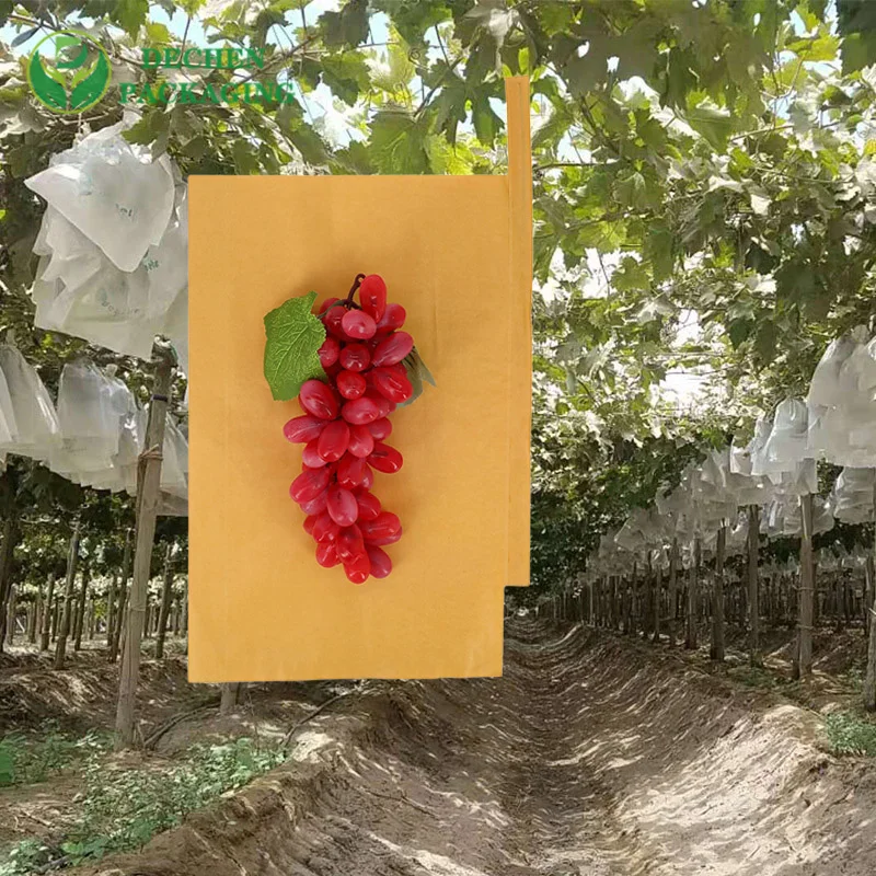 Grape Bags Fruit Insect Fruits Cover Protection Bag