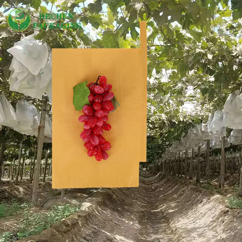Sac en papier d'emballage de mangue pour couvrir les sacs de protection de la culture des fruits