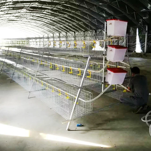 A Shape Wire Mesh Battery 10000 Layer Chickens Farm Bird Cage for Sale