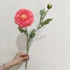 rosa 4