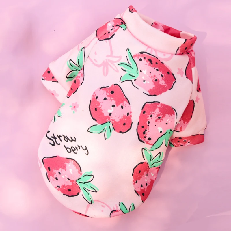 New Cartoon Print Pet Clothes With Fleece Twolegged Hoodie Autumn