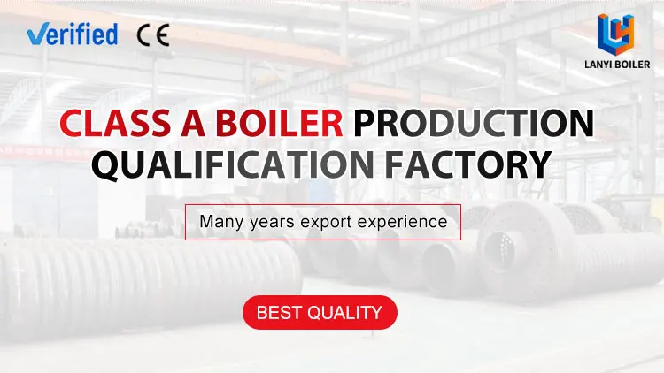 Steam Boiler, LPG, Natural Circulation - detail 2