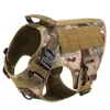 color camuflaje