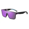 C4-purple gray/Purple