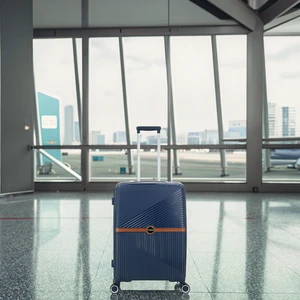 Convenient Holiday Travel Trolley Luggage Set Waterproof PP Spinner Wheels Combination Lock Zipper Polyester Carton Packaged