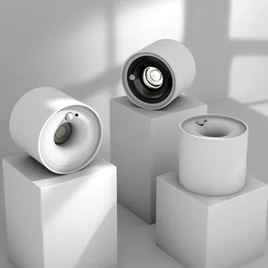 Modern Black and White Cylinder LED Downlight Surface Mounted Cob Aluminum Lamp for Home Office