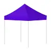 Purple (Pantone 2612C)