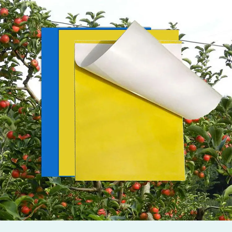 Customized double-sided yellow sticky insect board with strong adhesion to capture pests, outdoor small flying insect trap