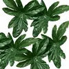 500g of triangular peony leaves