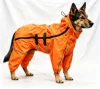 Bright Orange