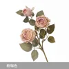 Pink Coffee - 3-headed Royal Rose