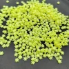 jaune citron